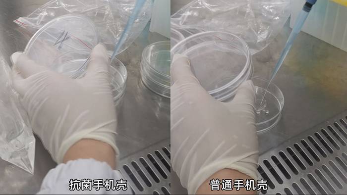 培养00000000